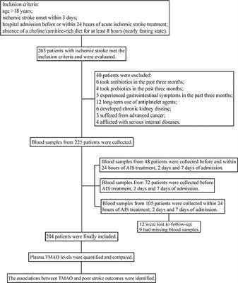 Dynamic Changes and Prognostic Value of Gut Microbiota-Dependent Trimethylamine-N-Oxide in Acute Ischemic Stroke